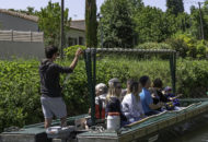 Torpedo Travel 1003CS